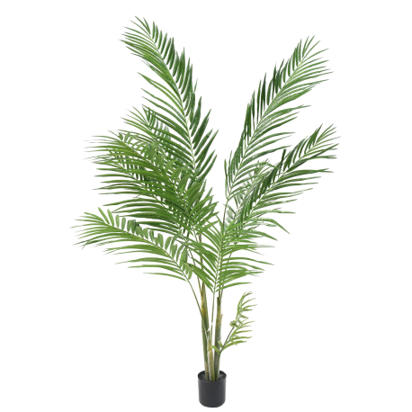 Areca artificiel 160cm