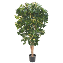 Schefflera artificiel H150cm